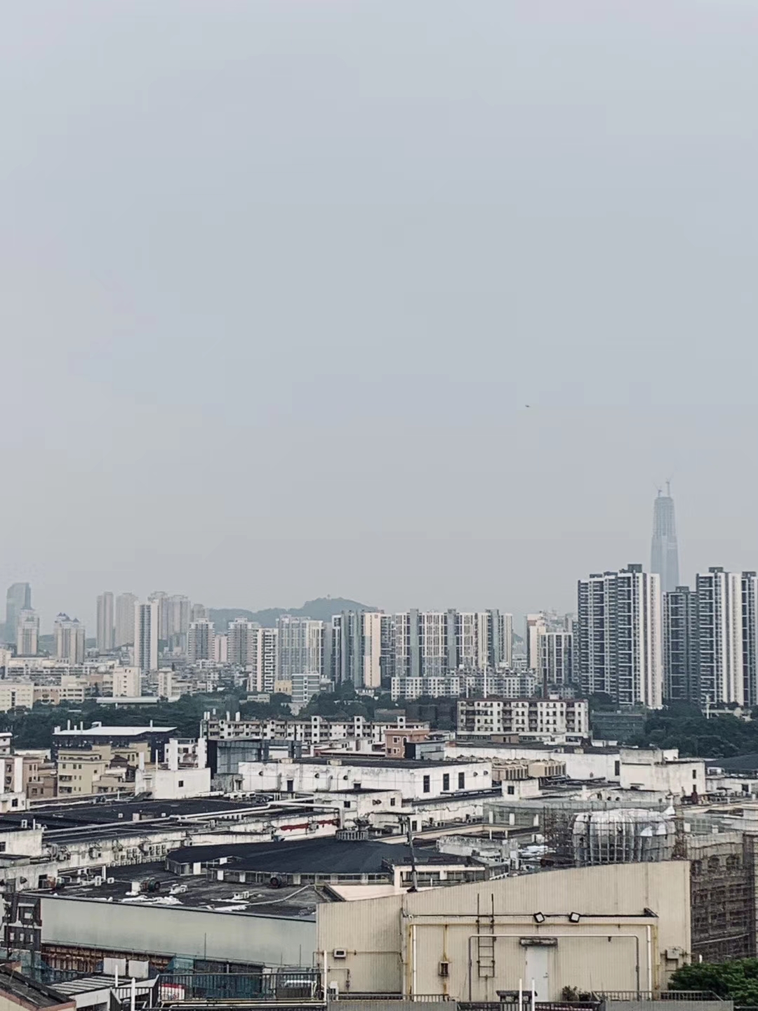 Java核心技术